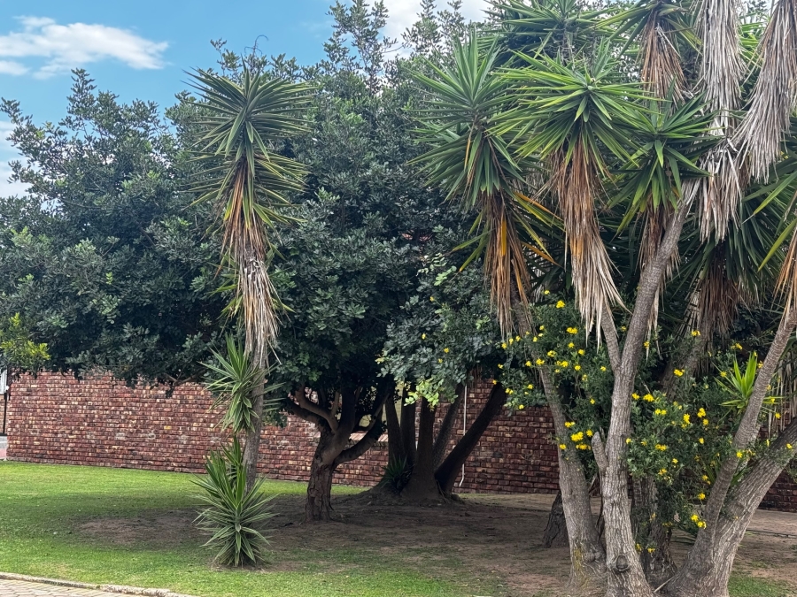 3 Bedroom Property for Sale in Hartenbos Central Western Cape